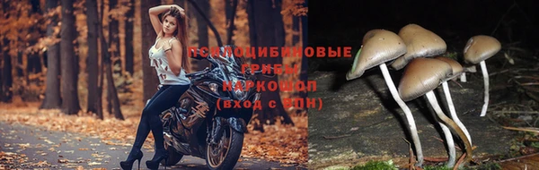 эйфоретик Лиски