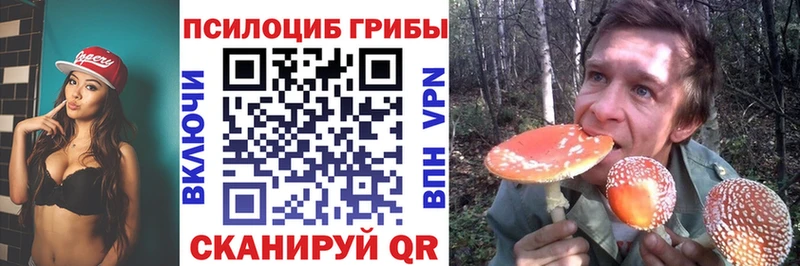 blacksprut маркетплейс Шиханы Псилоцибиновые грибы мицелий